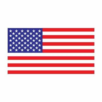 usa-flag--vector-illustration-png_285863